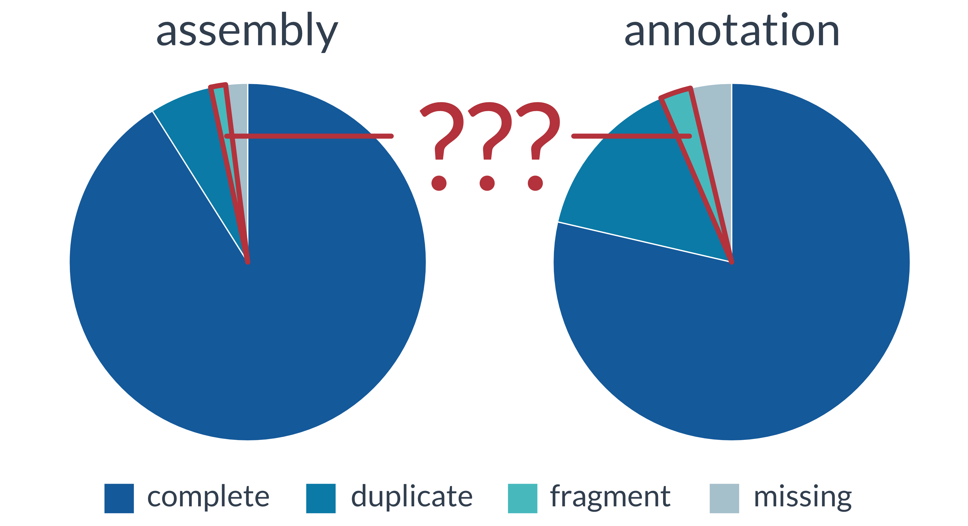 BUSCO completeness myths debunked, part 6