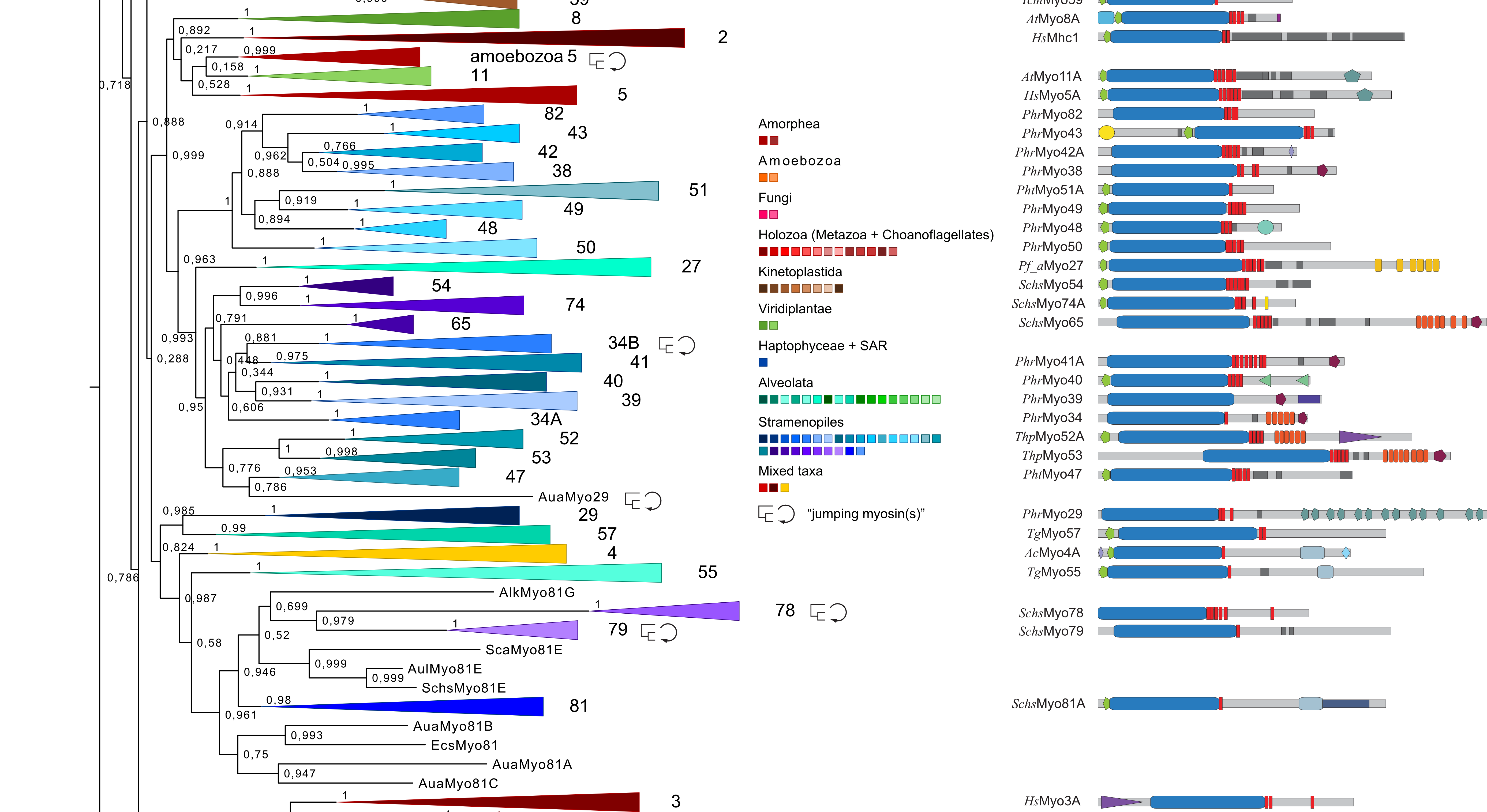 Functional genome annotation, dos and don’ts part 5