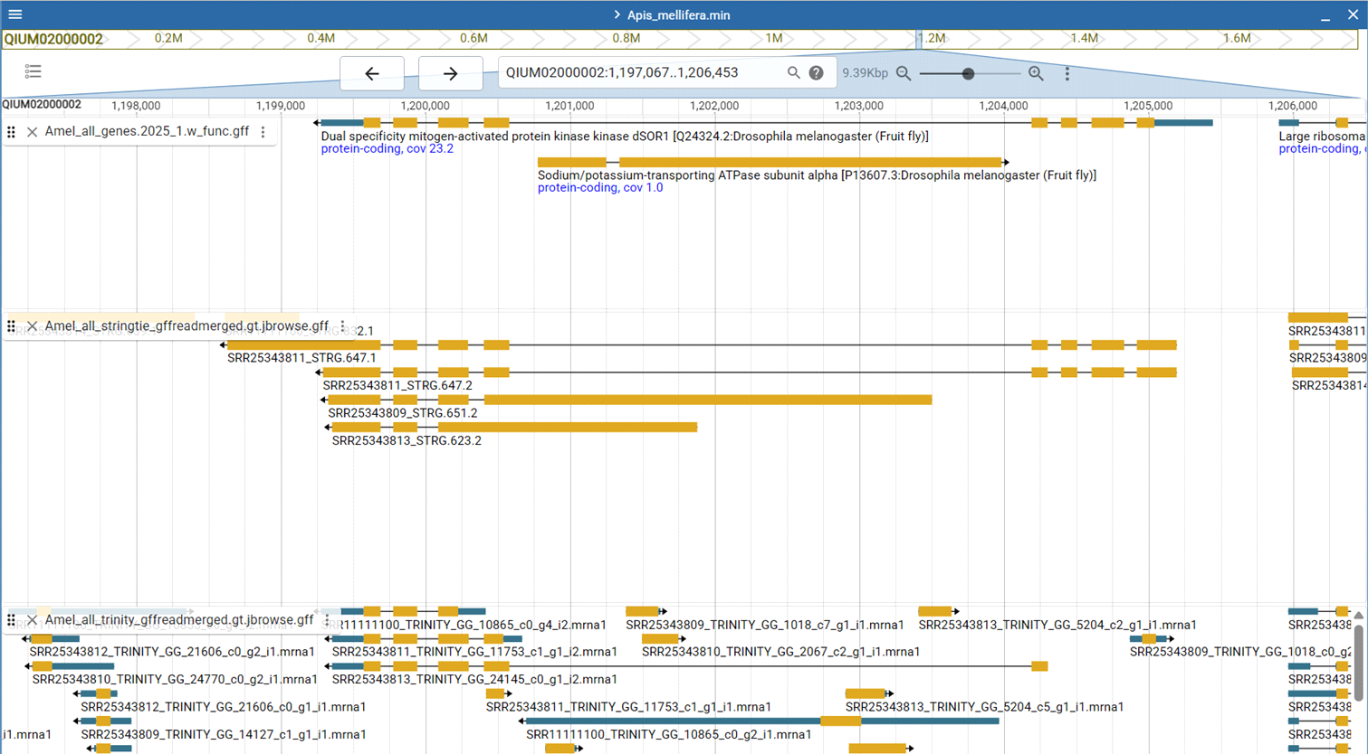 Inside the genome’s hidden layers: the curious case of nested genes