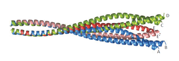 Why should you use tools that generate random predictions for functional annotations?
