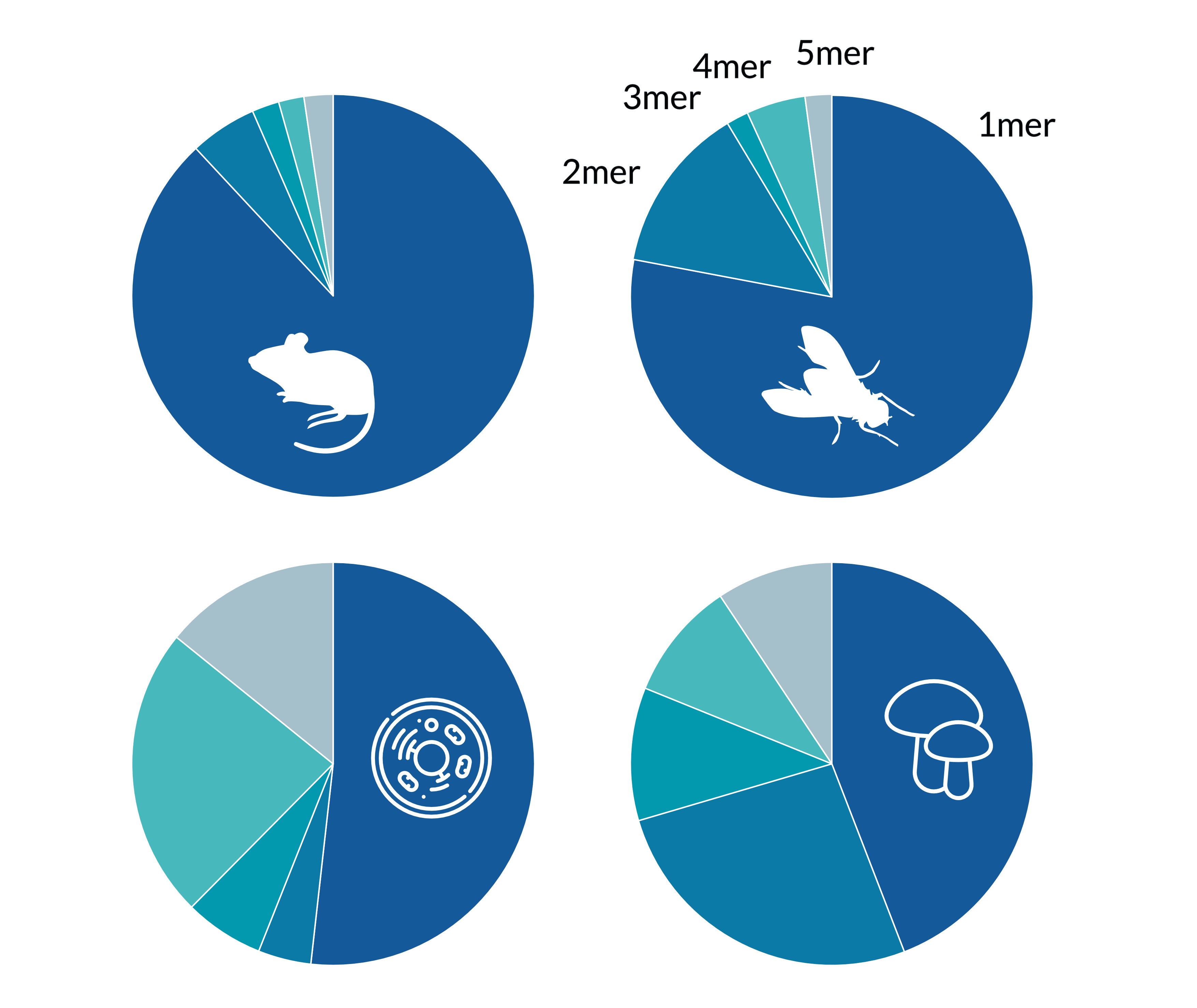 Pie charts of 1-mer to 5-mer exact repeats in BUSCO data sets of carnivora, hymenoptera, alveolata and ascomycota.